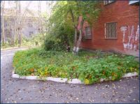 picture-03